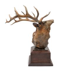 Elk Head , edition 1/35