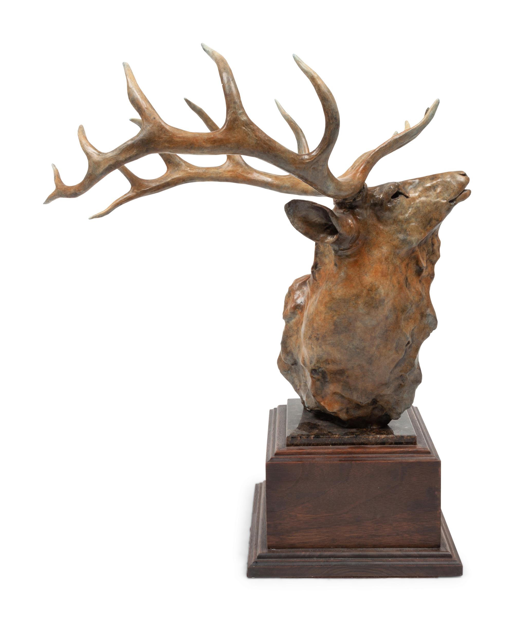 Elk Head , edition 1/35