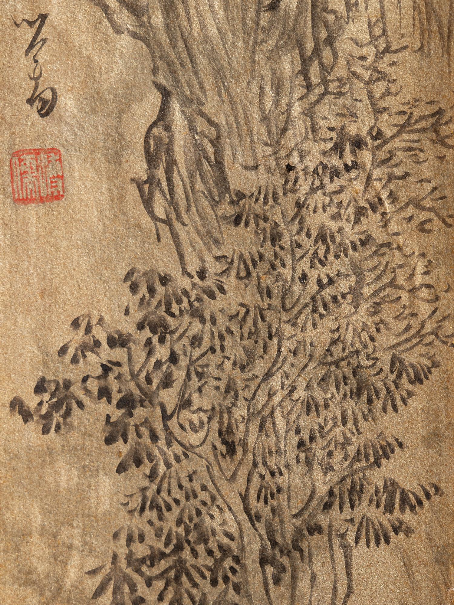 Pu Ru