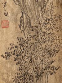Pu Ru