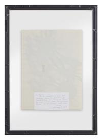 Untitled ( S érie des Oiseaux )