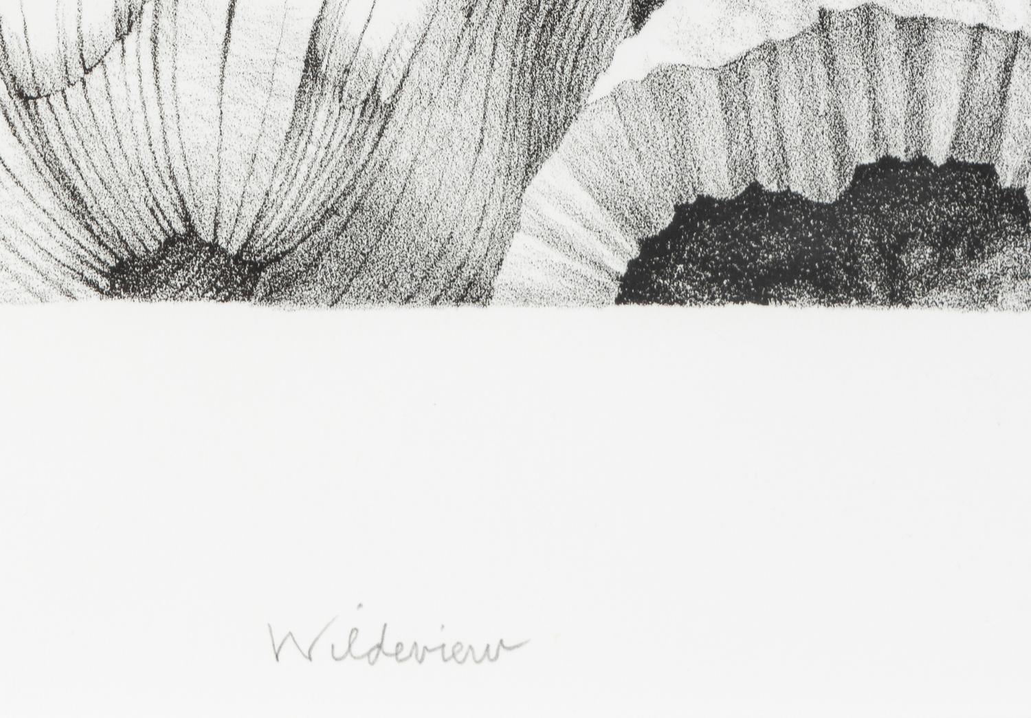 Wildeview , 1985