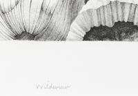 Wildeview , 1985