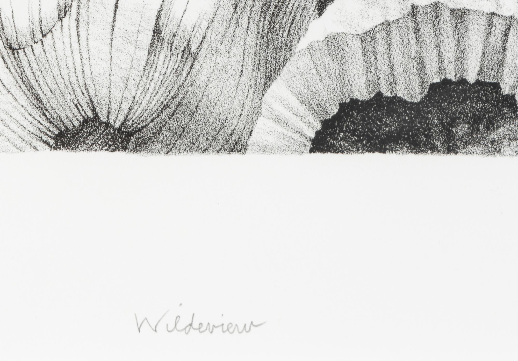Wildeview , 1985