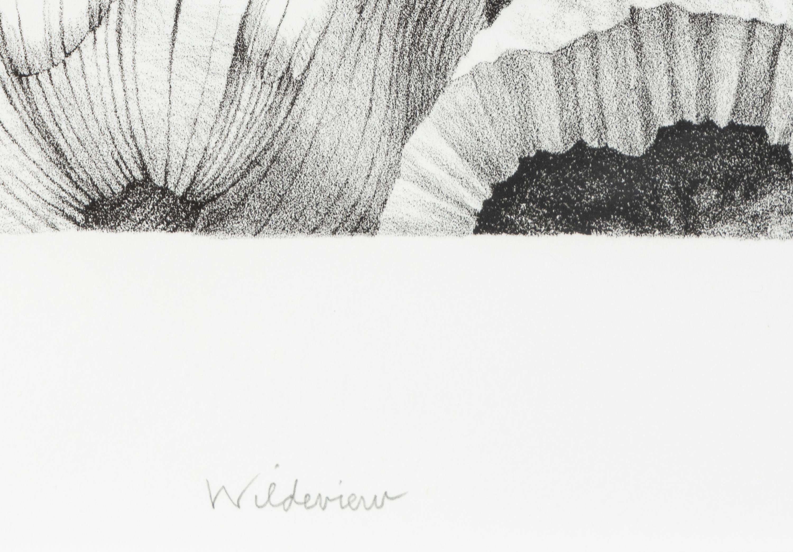 Wildeview , 1985