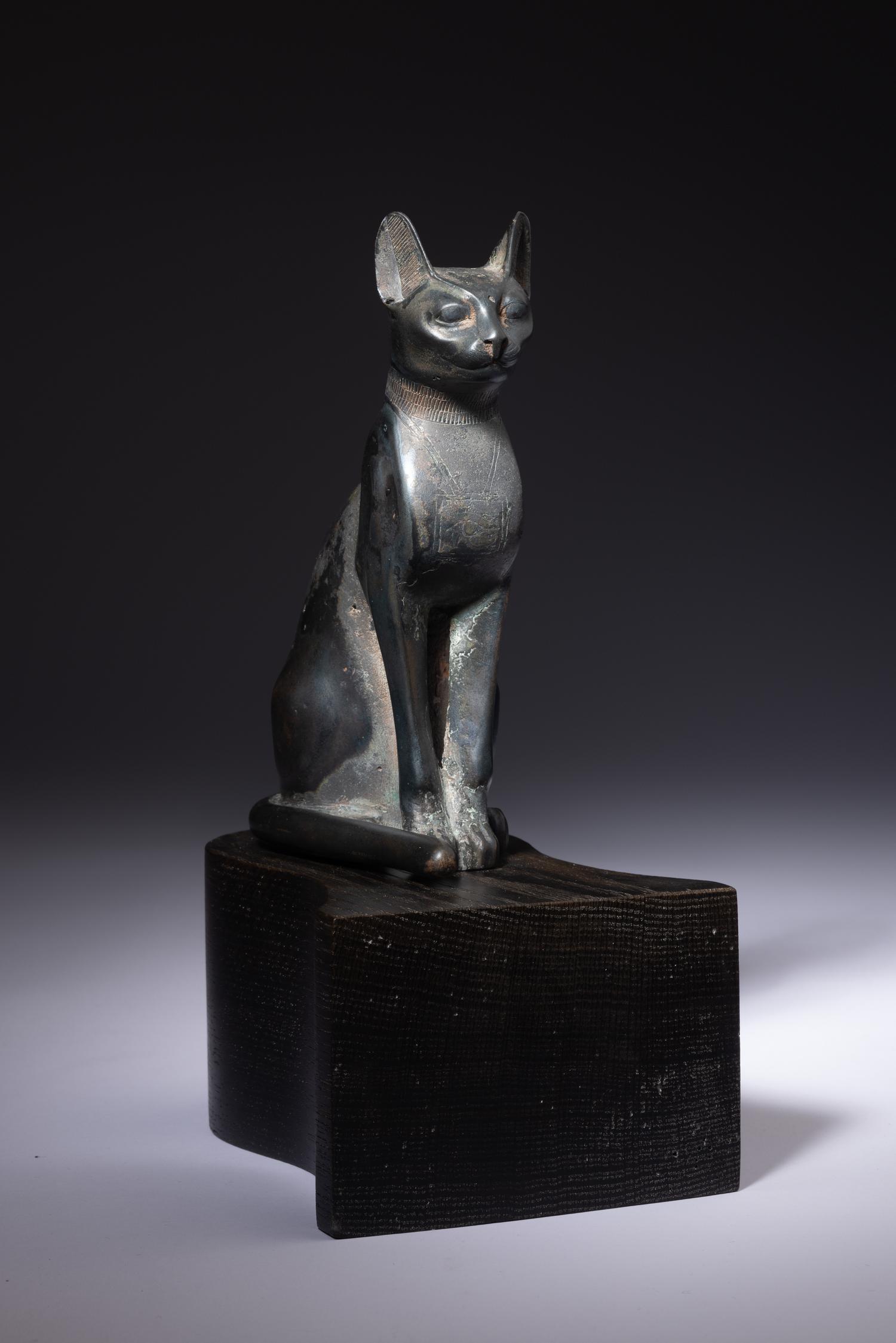 An Egyptian Bronze Cat