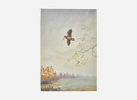 [Sporting] Rickman, Philip: Group of 2 Original Illustrations of Game Birds