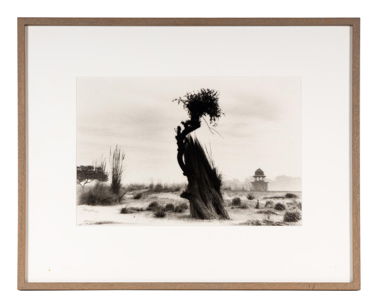 Shah Jahan's Tomb, Tree at Center, Agra , 1985, and Untitled (Garden) (Two Works)