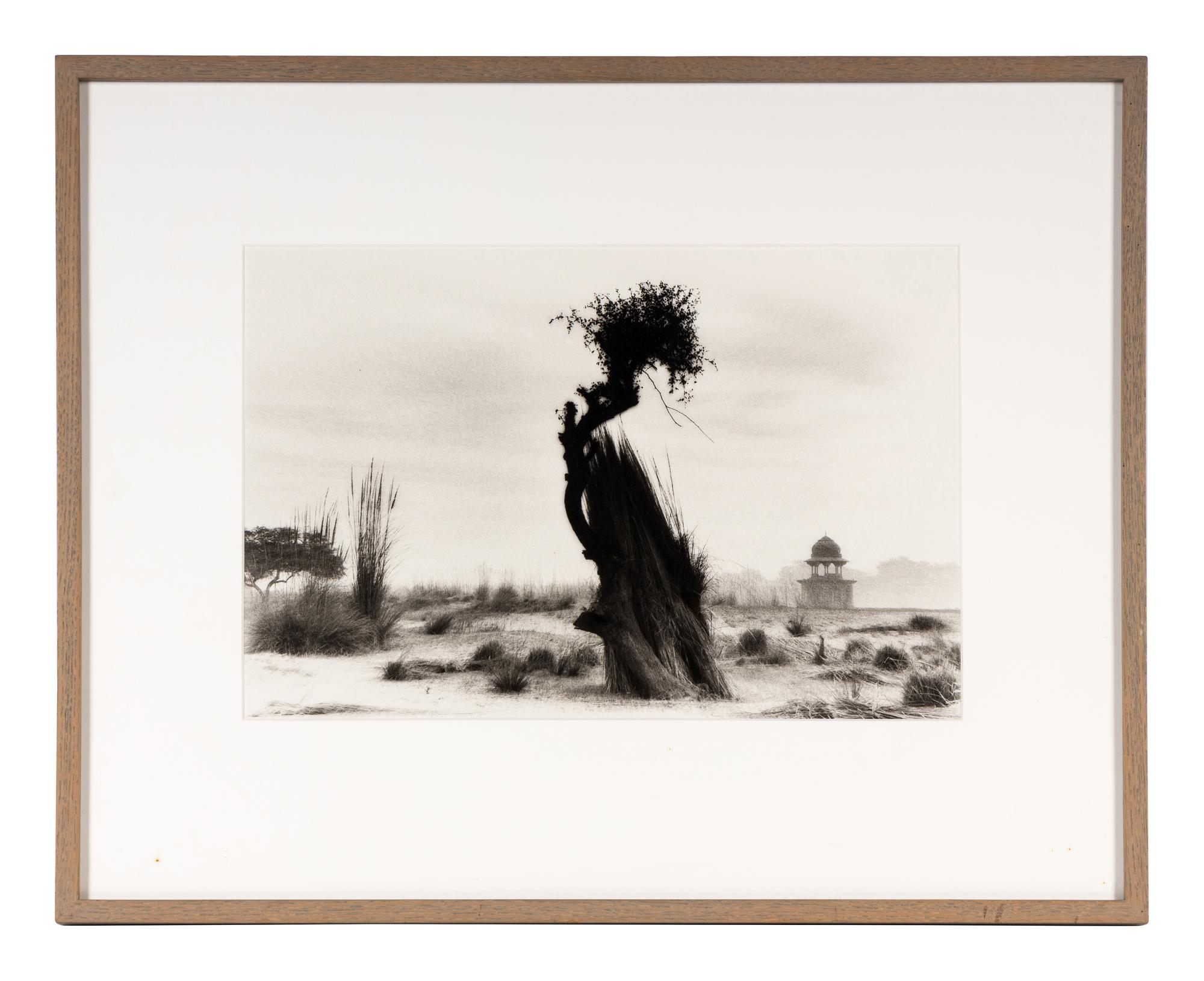 Shah Jahan's Tomb, Tree at Center, Agra , 1985, and Untitled (Garden) (Two Works)