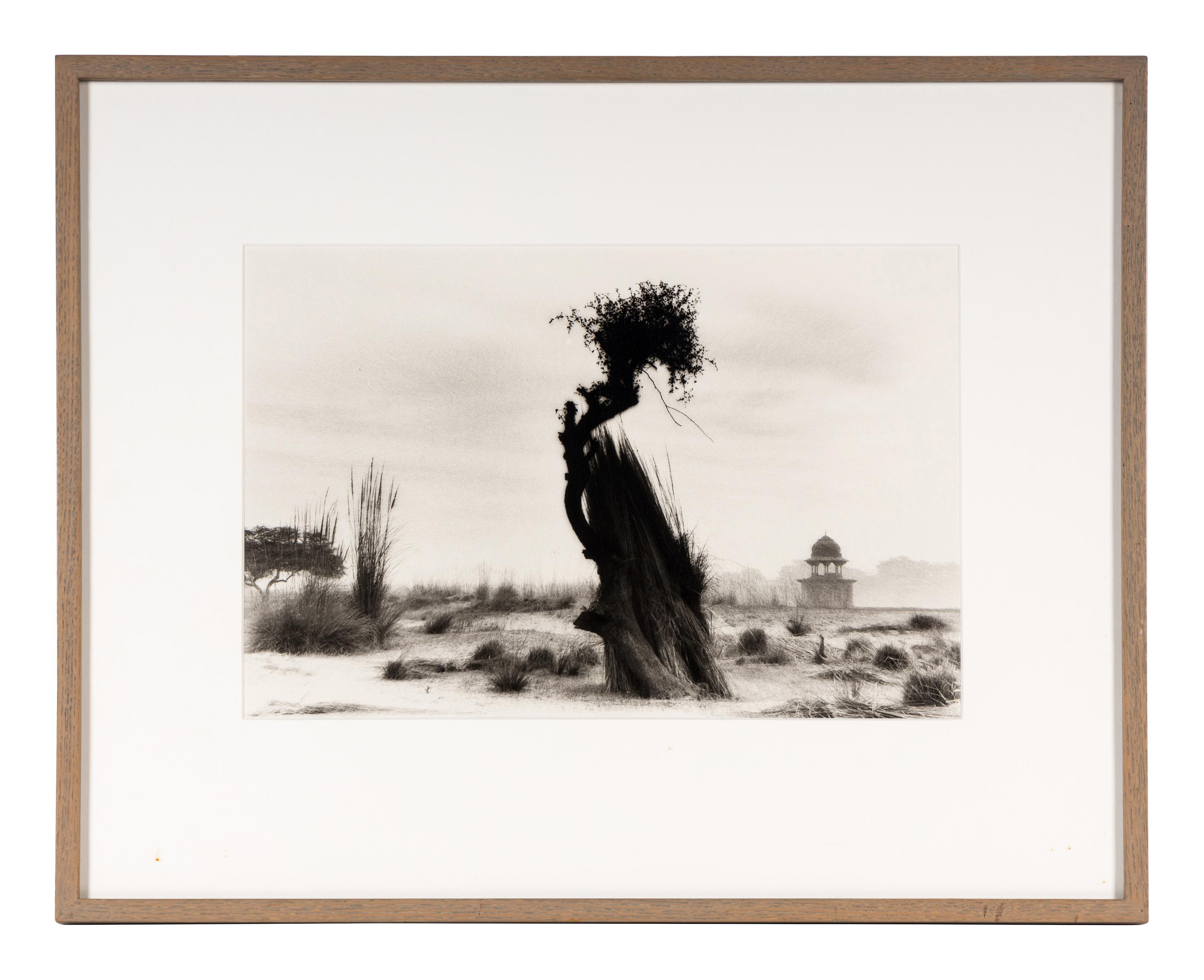 Shah Jahan's Tomb, Tree at Center, Agra , 1985, and Untitled (Garden) (Two Works)