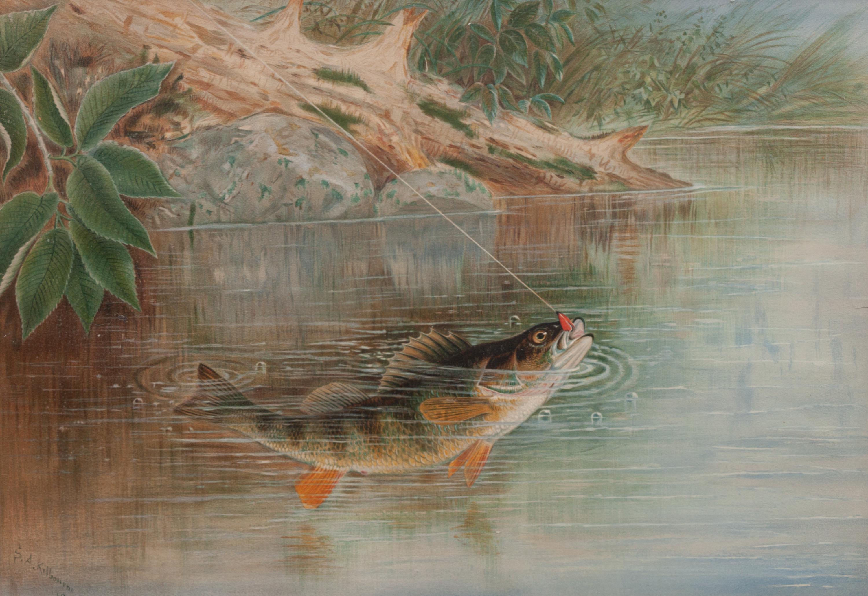 Fly Fishing