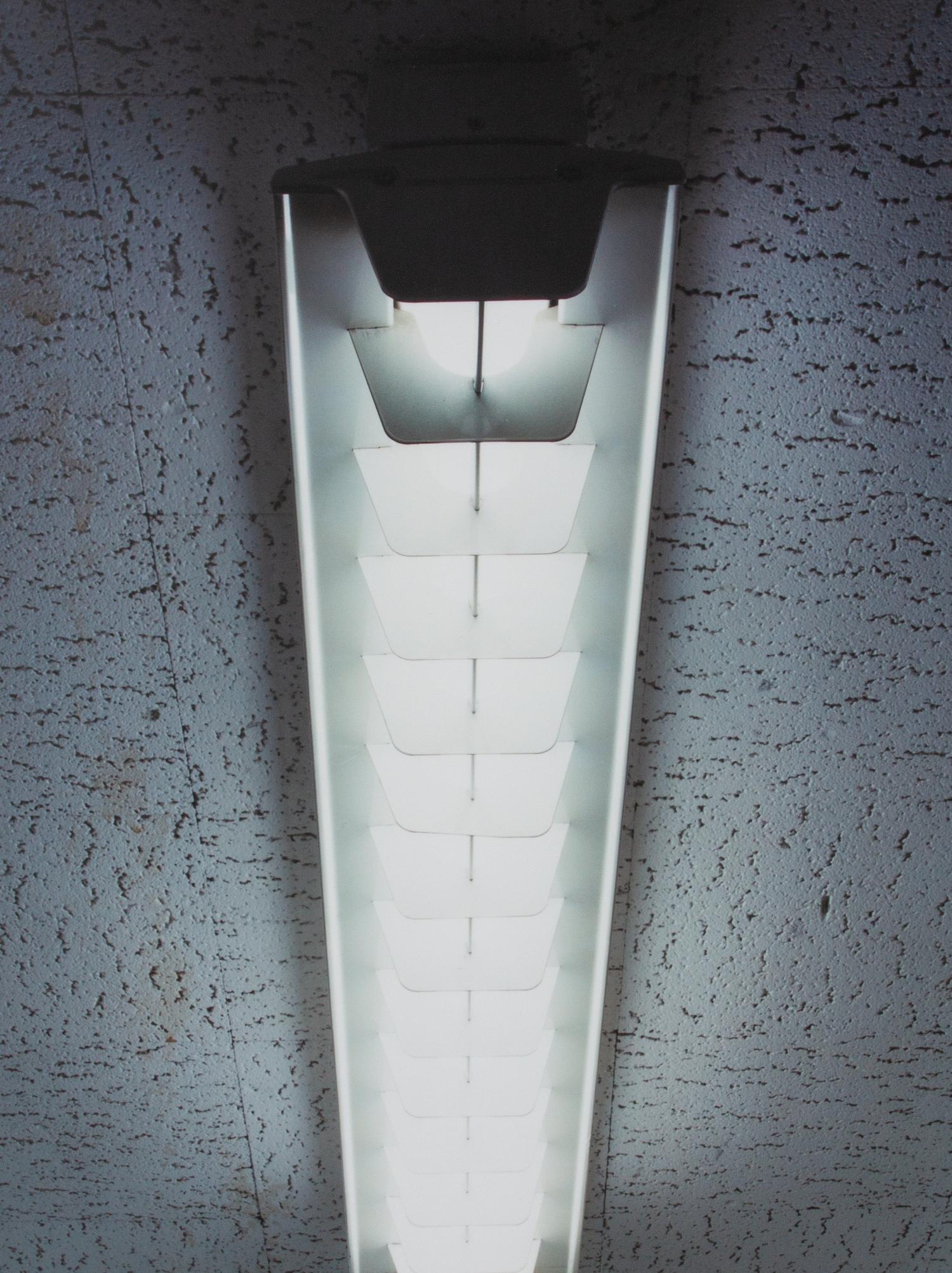 Untitled (Fluorescent Light)