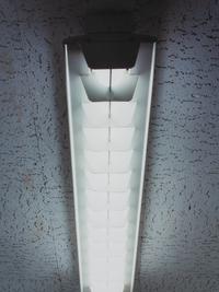 Untitled (Fluorescent Light)
