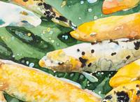 Untitled (Nine Fish) , 1978