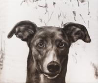 Juan Perdiguero, (Spanish, 20th/21st century), Untitled (Perro Negro)