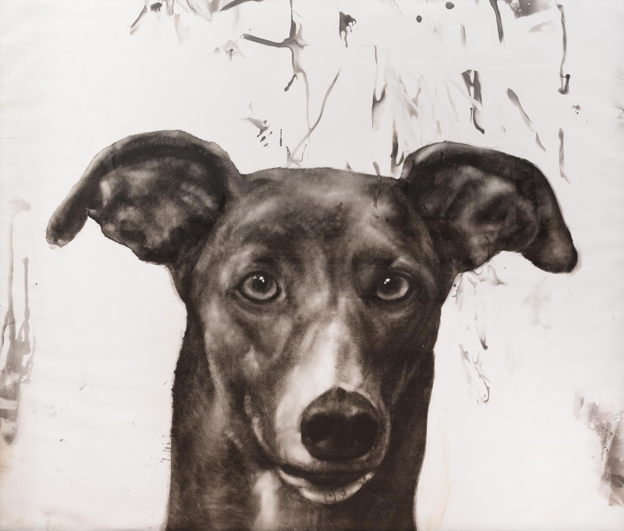 Juan Perdiguero, (Spanish, 20th/21st century), Untitled (Perro Negro)