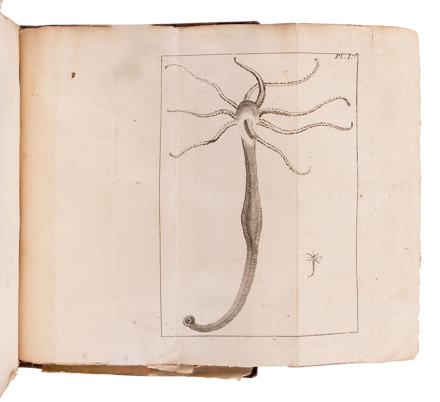 BAKER, Henry (1698-1774). Essai sur l'histoire du polype, insecte . Paris: Chez Durand, 1744.
