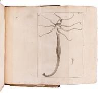 BAKER, Henry (1698-1774). Essai sur l'histoire du polype, insecte . Paris: Chez Durand, 1744.