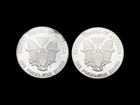 [PRIVATE ISSUE] Two 1-Pound Silver Rounds
