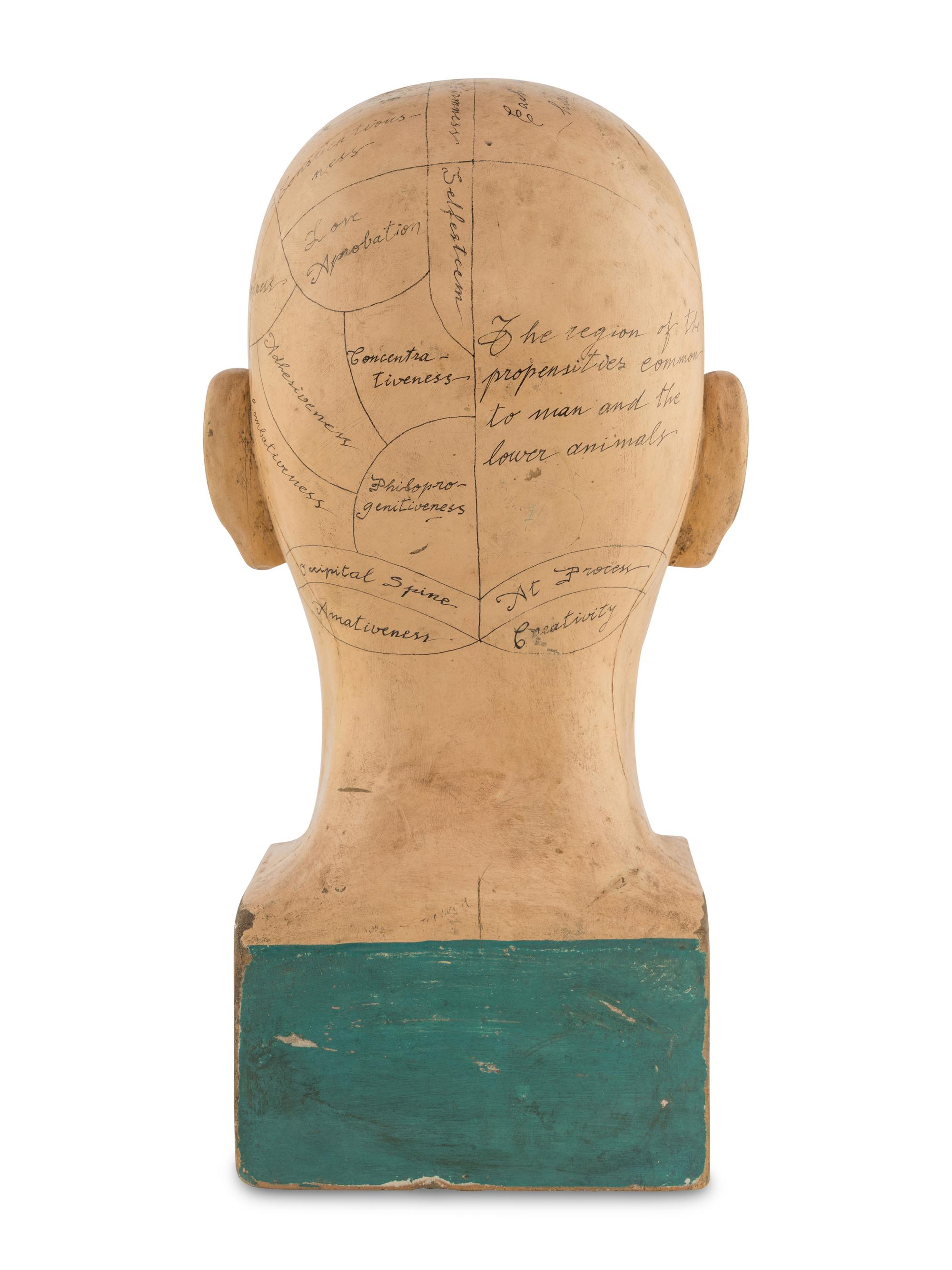 A Carved and Painted Wood Phrenology Head