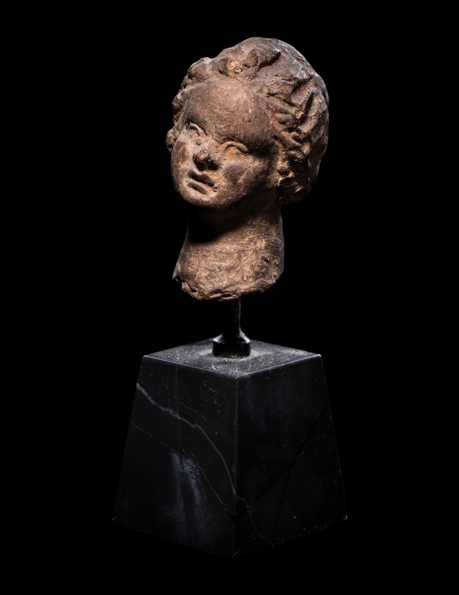 A Greek Terracotta Head
