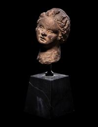 A Greek Terracotta Head