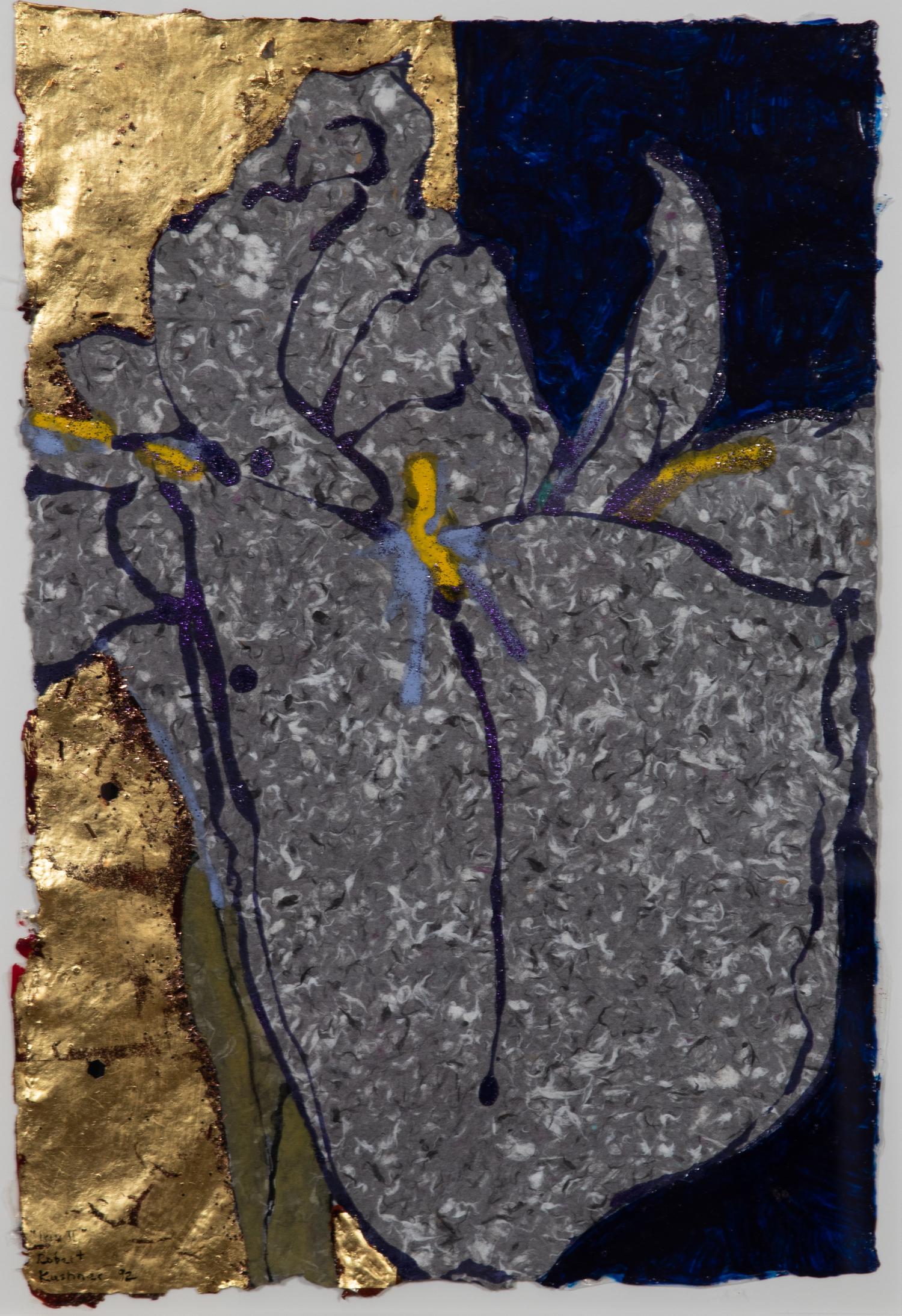 Robert Kushner, (American, born 1949) — Iris II, 1992