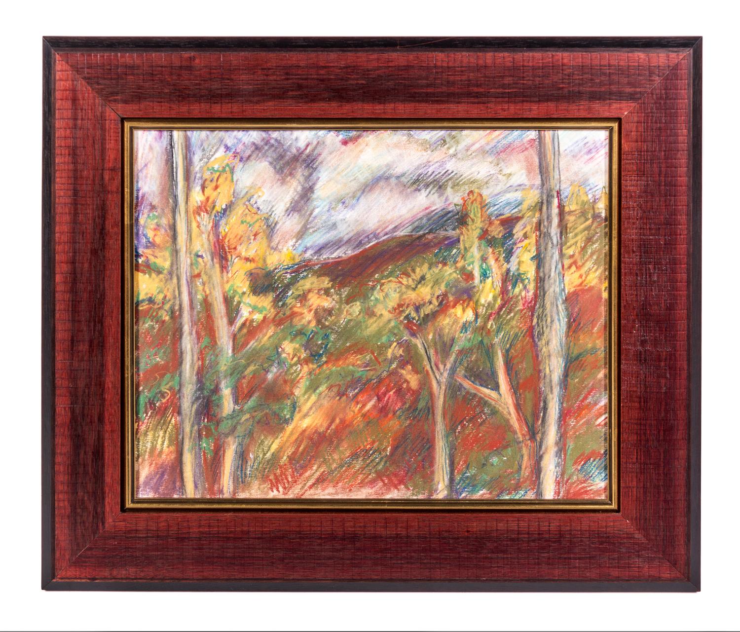 Barbara Salvaggio, (20th Century), Mountain View Through the Trees: Glenville, North Carolina, 2005