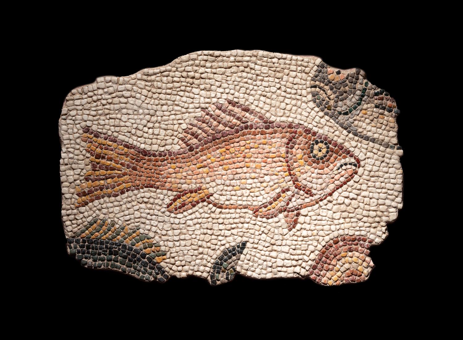 A Roman Mosaic Panel of a Fish