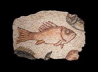 A Roman Mosaic Panel of a Fish