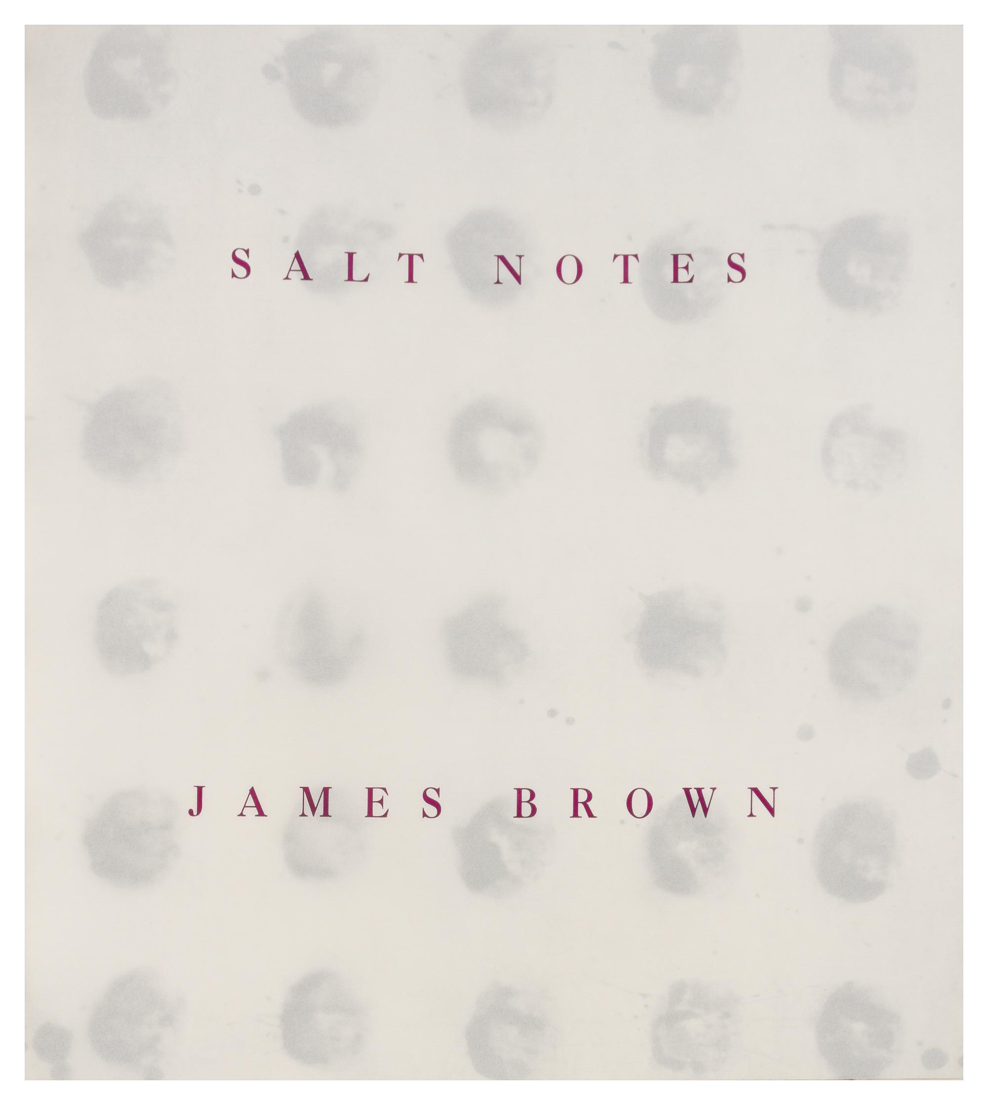 James Brown, (American, 1951), Salt Notes (bound book of 8 etchings, 14 lithographs, and 3 drawings)