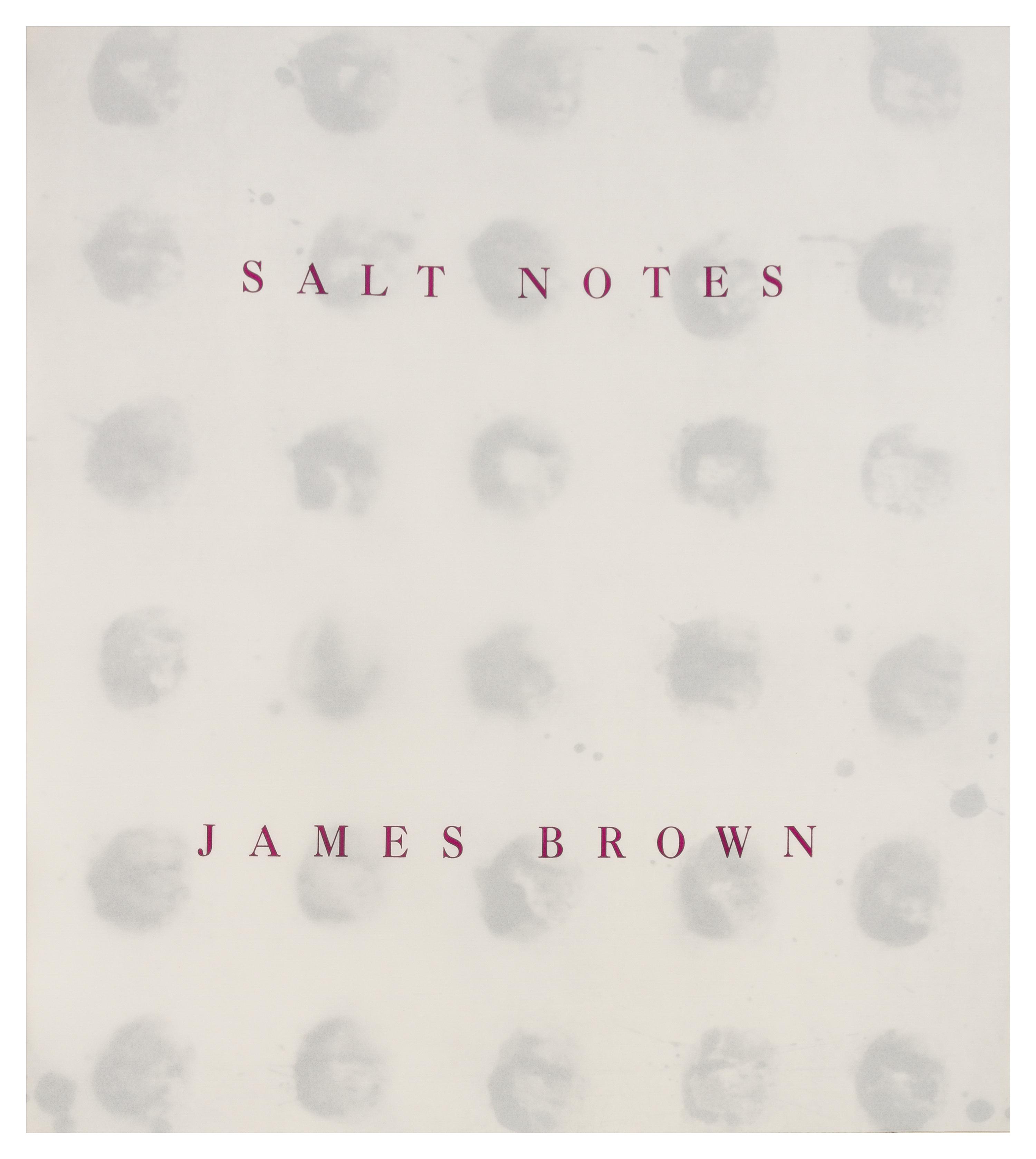 James Brown, (American, 1951), Salt Notes (bound book of 8 etchings, 14 lithographs, and 3 drawings)