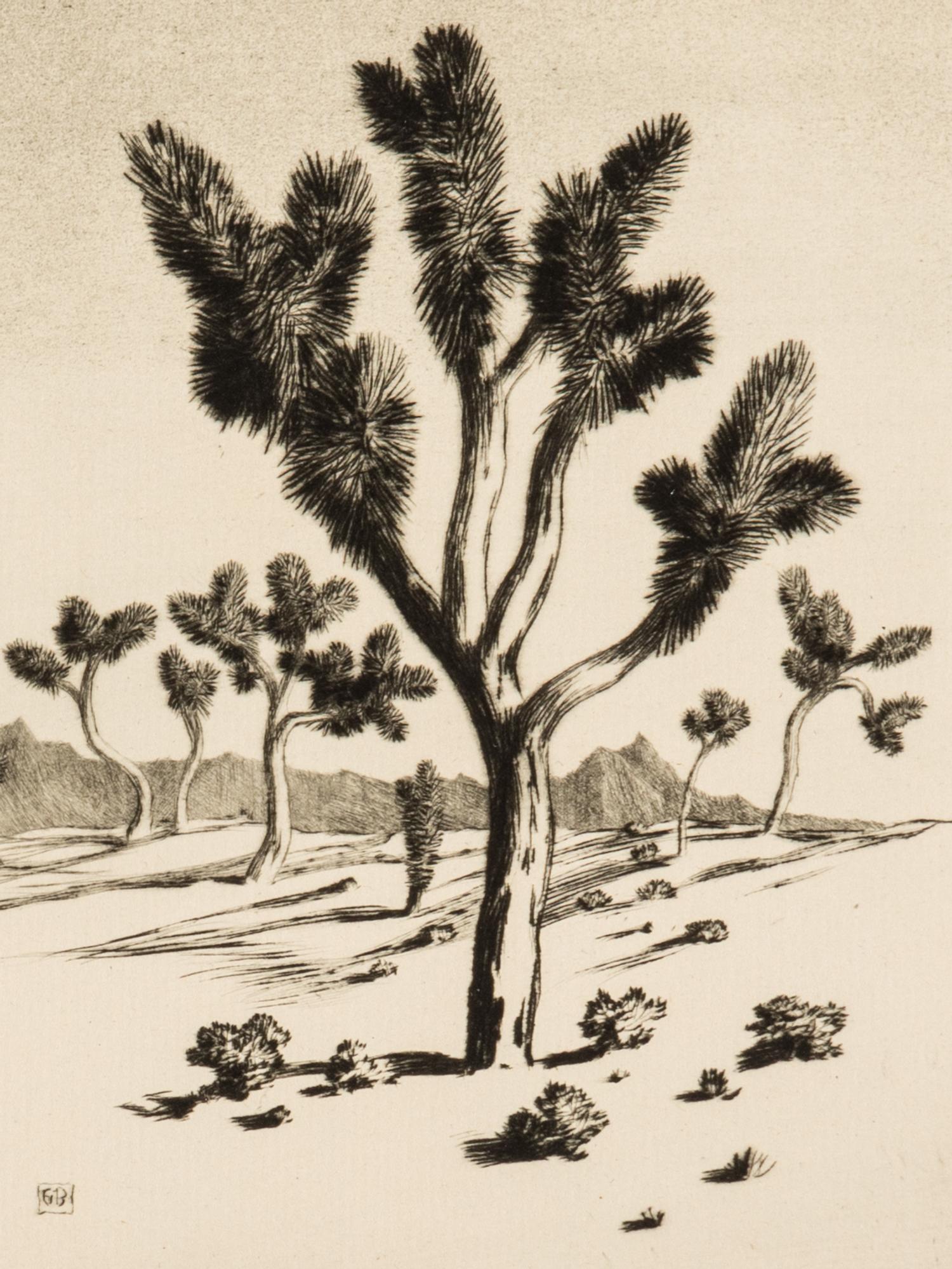 Two Works: Cucumber Cactus and Joshua Trees