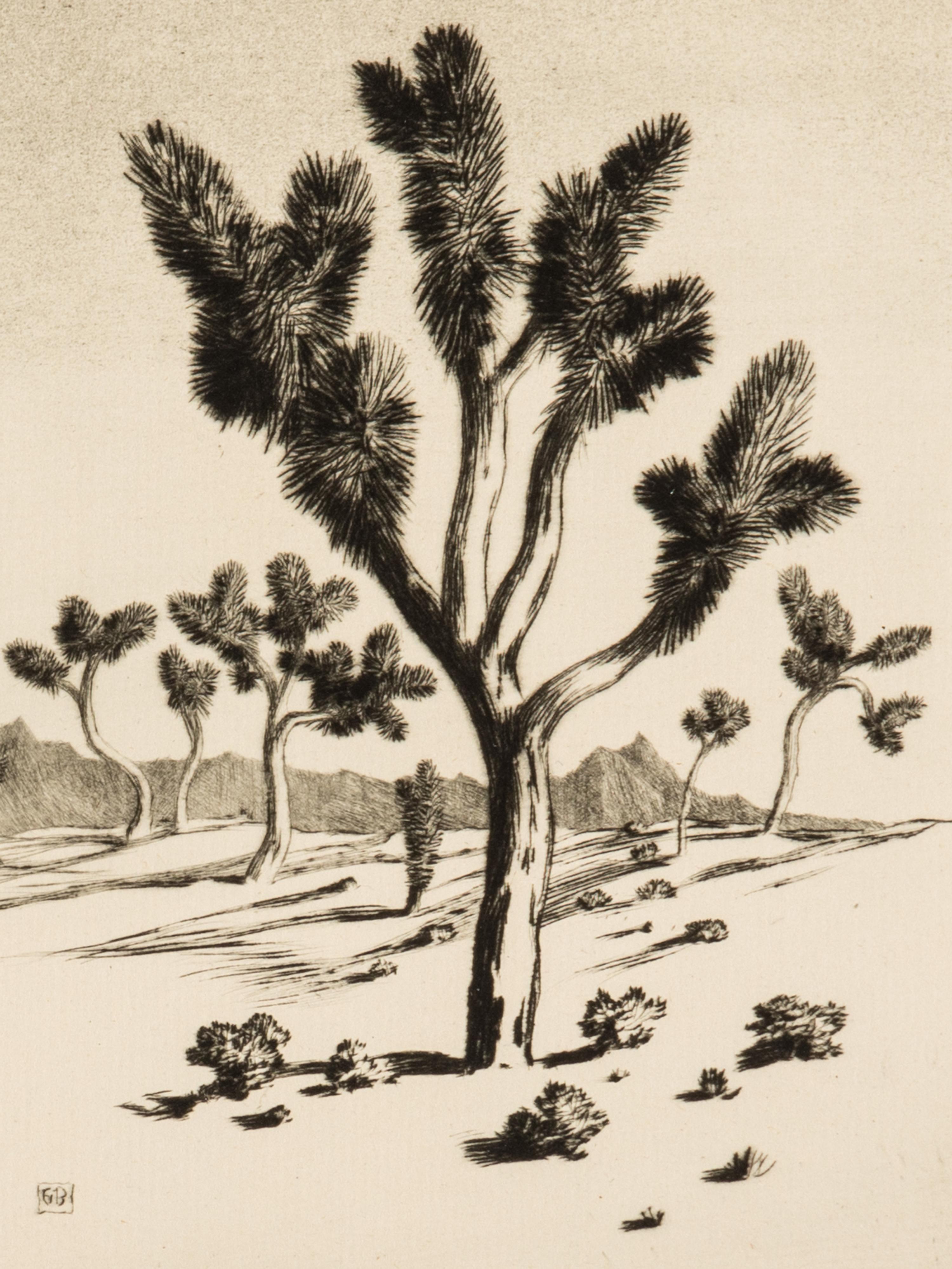 Two Works: Cucumber Cactus and Joshua Trees