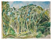 Trees on Cape Cod, 2021