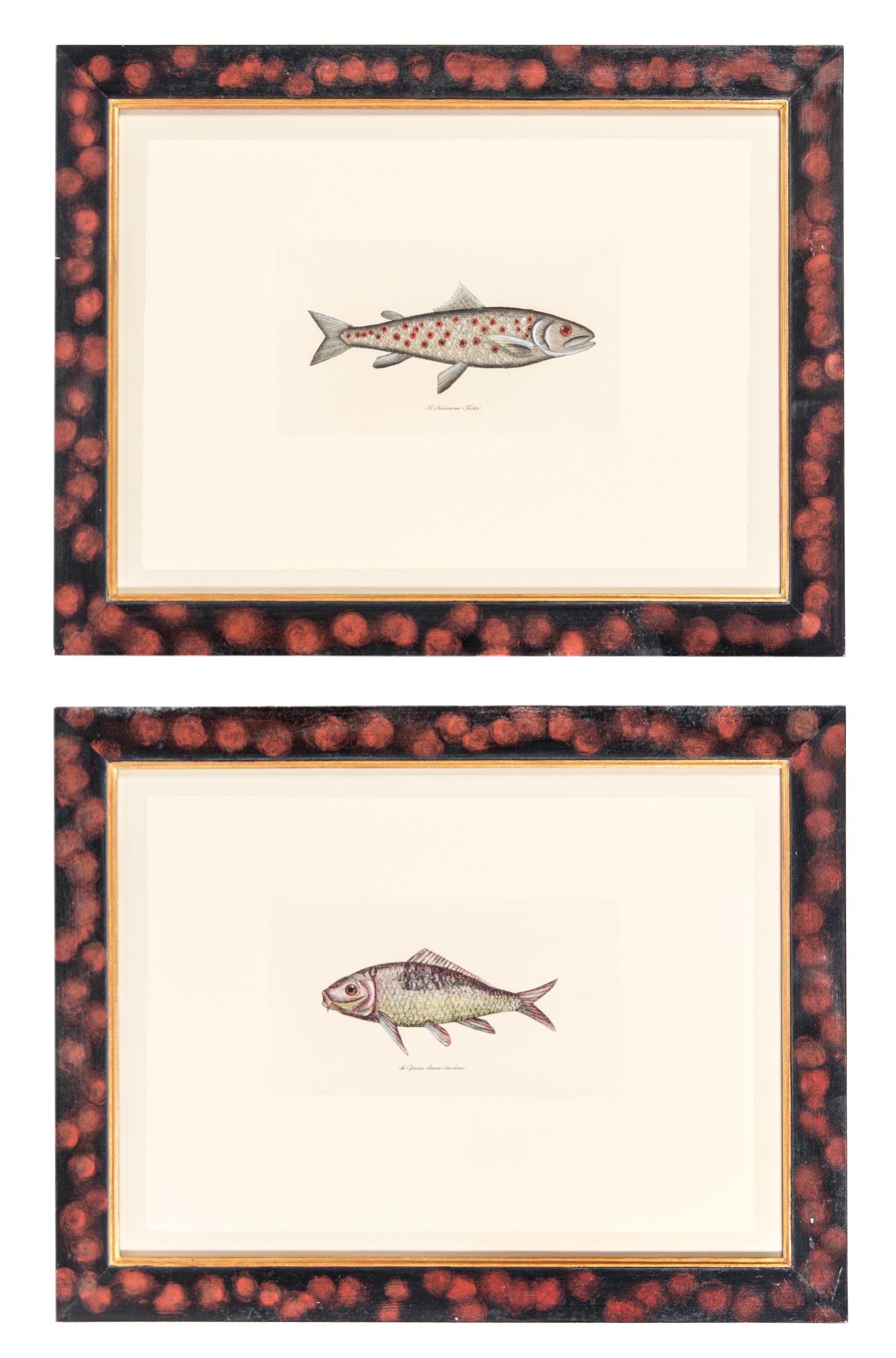 Two Ichthyological Prints 5 3/4 x 10 inches (visible).