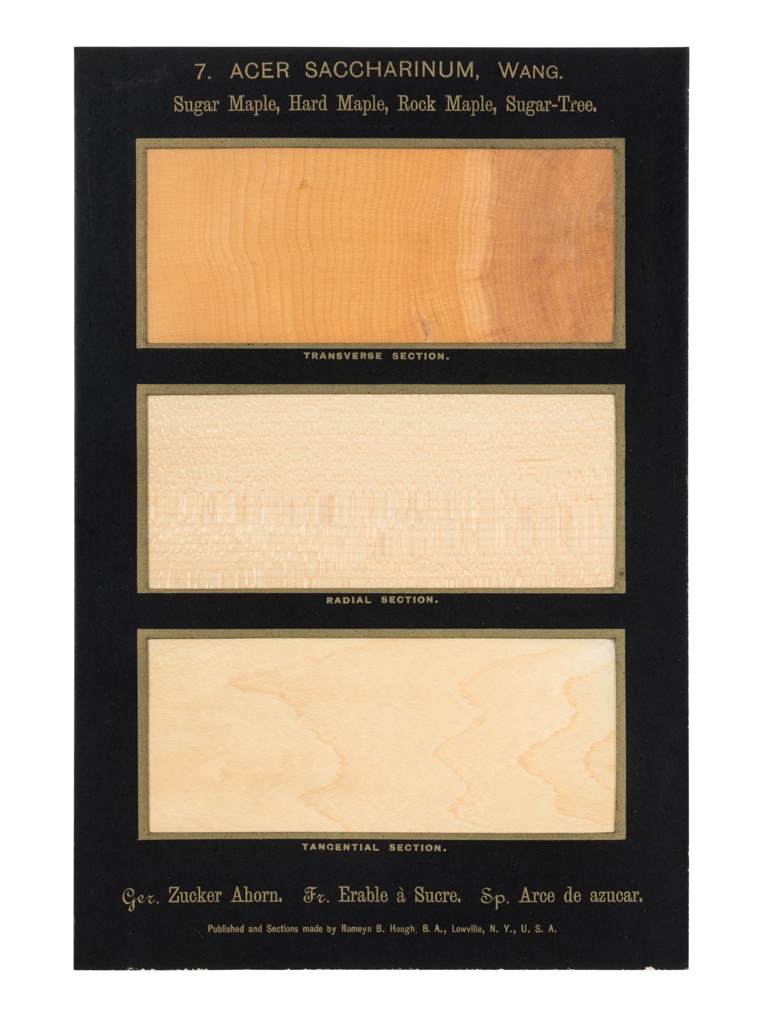 HOUGH, Romeyn Beck (1857-1924). American Woods illustrated by actual specimens: Commercial Species . Lowville, NY: prepared by the author, 1916.