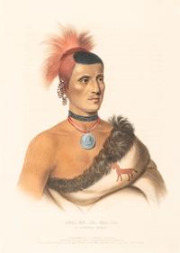 Four Hand-Colored Lithographs by McKenney and Hall