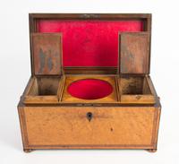A Regency Burlwood Tea Caddy Width 13 1/2 inches. — CIRCA 1820