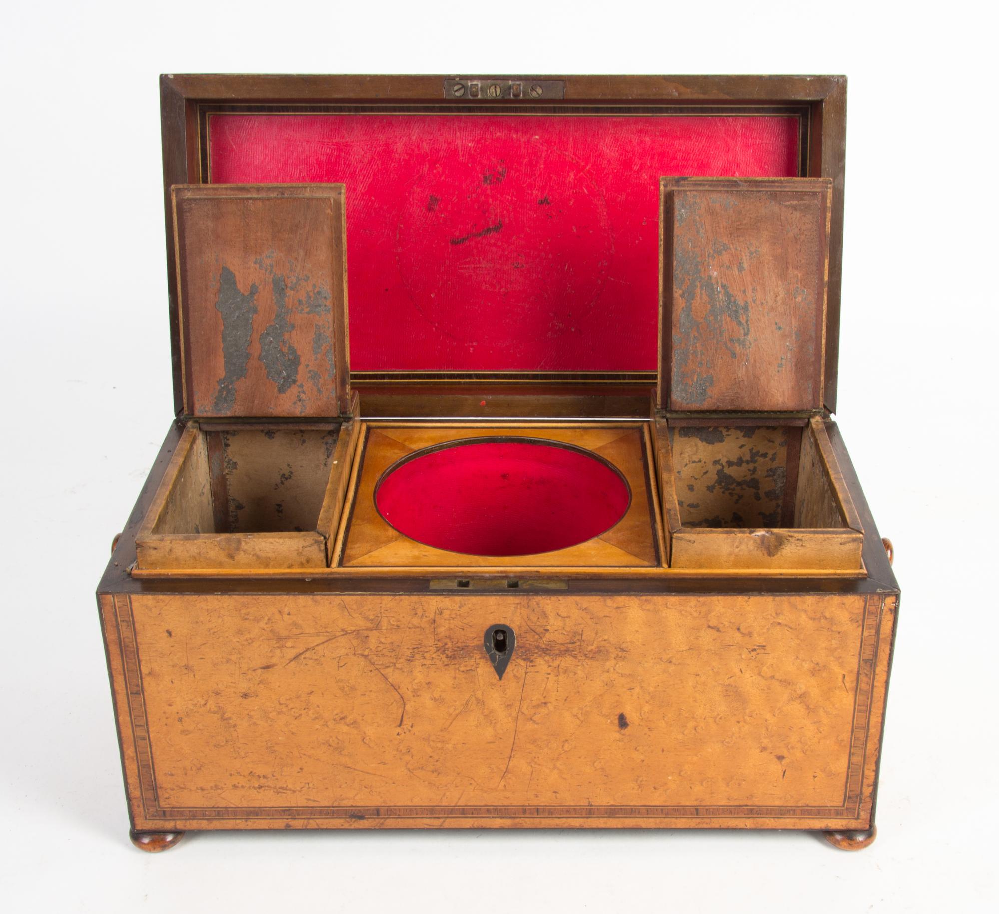 A Regency Burlwood Tea Caddy Width 13 1/2 inches. — CIRCA 1820