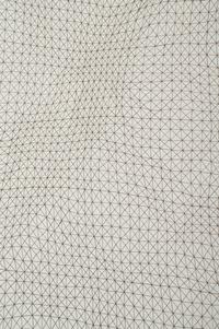 Untitled (Net)