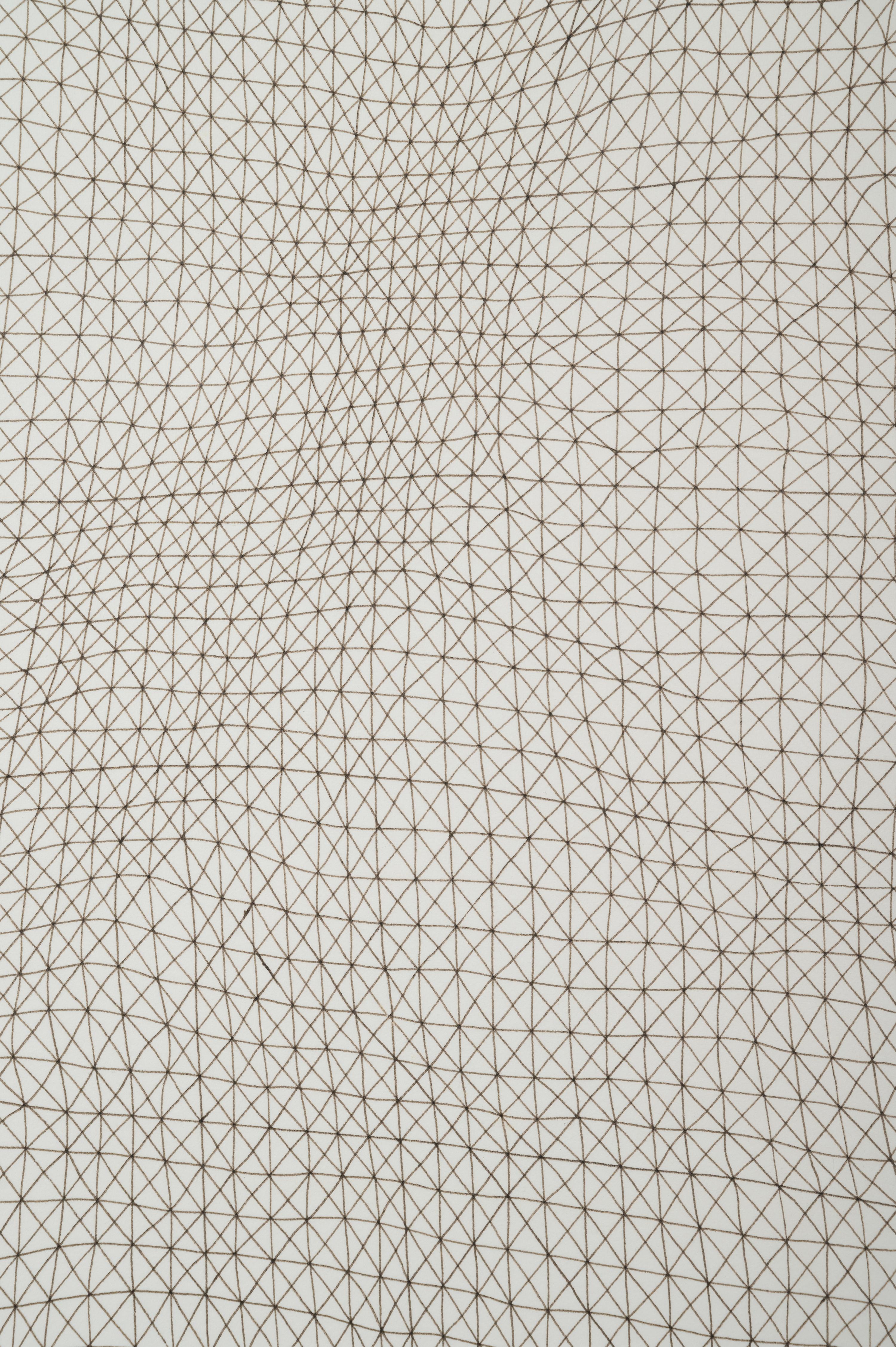 Untitled (Net)