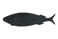 A Primitive Cut Sheet-Iron Fish Weathervane