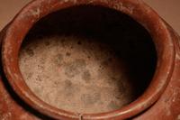 A Pre-Columbian Painted Terracotta Bowl