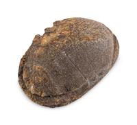 An Egyptian Stone Heart Scarab