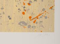 Composition in Light (from the Landfall Press 30th Anniversary portfolio)