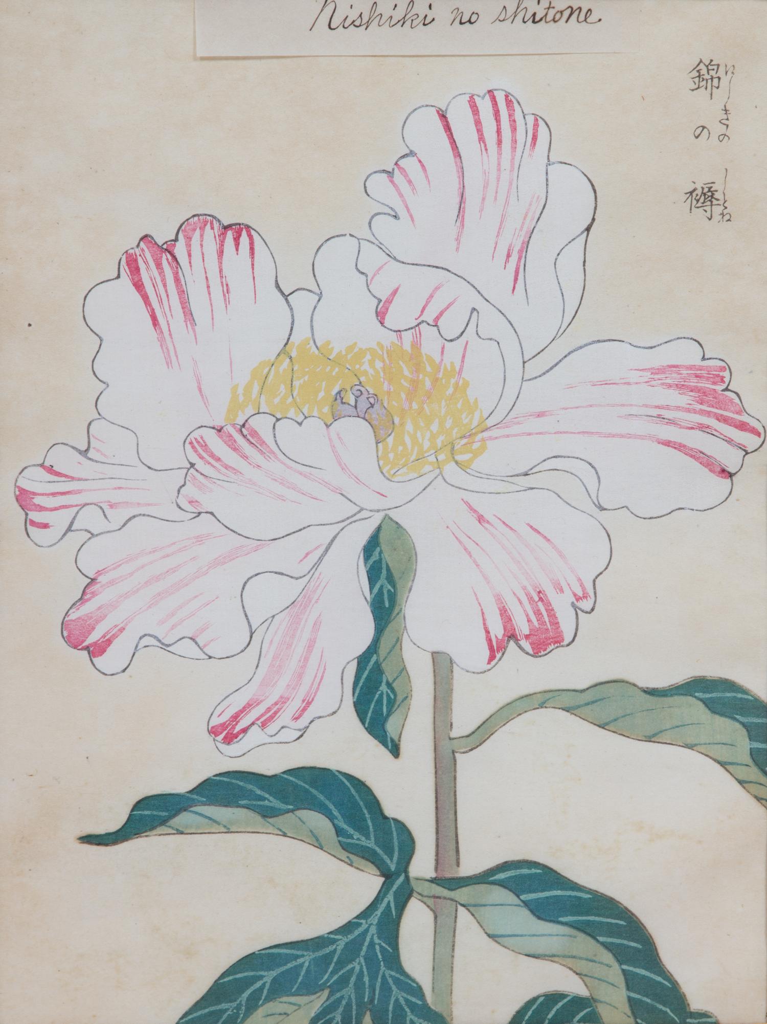Three Japanese Botanical Watercolors Sight: 9 x 6 3/4 inches.