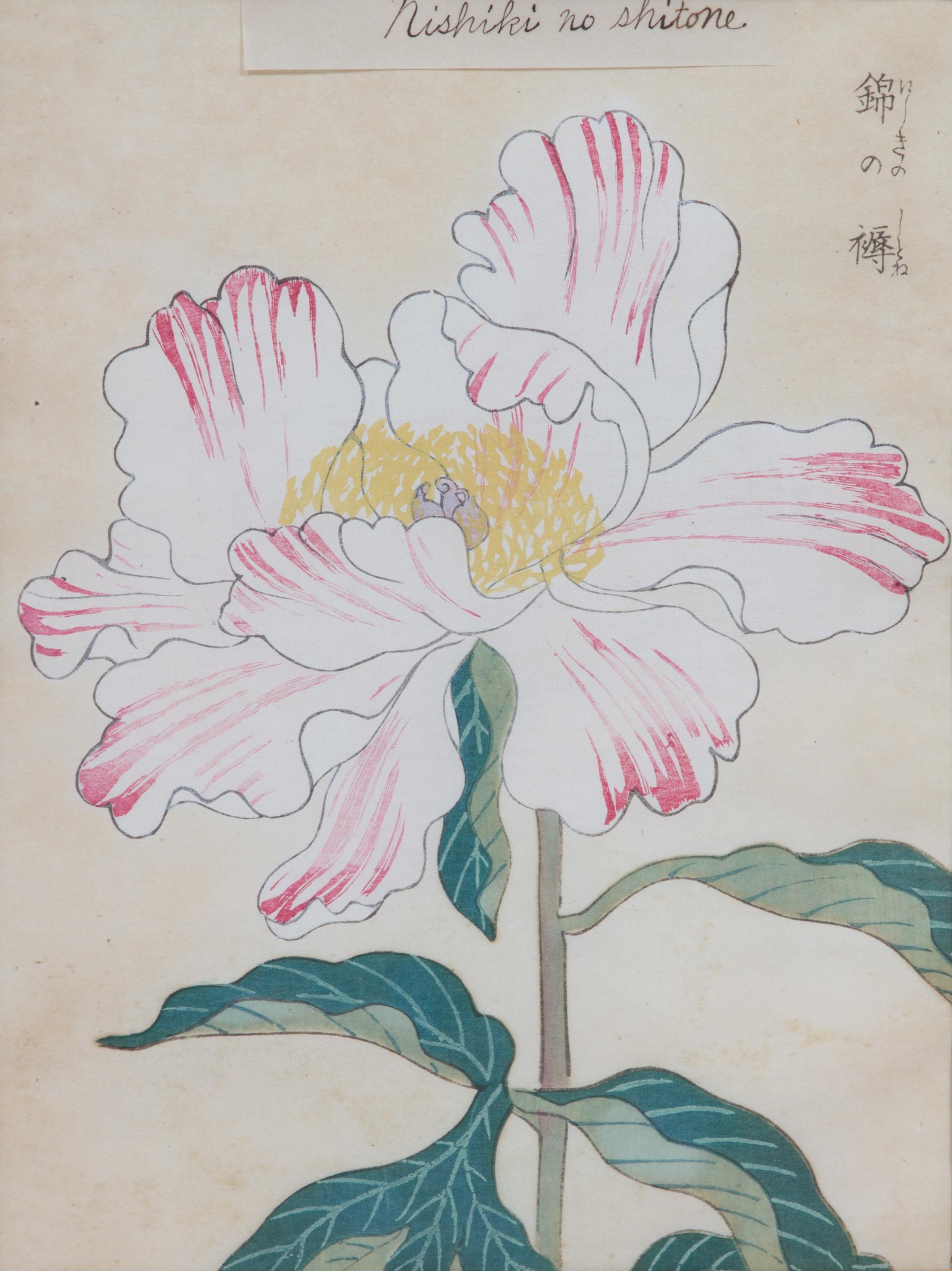 Three Japanese Botanical Watercolors Sight: 9 x 6 3/4 inches.