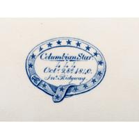 A Ridgway "Columbian Star" Transferware Soup Tureen and Platter
