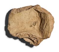 Two Etruscan Terracotta Antefix Fragments